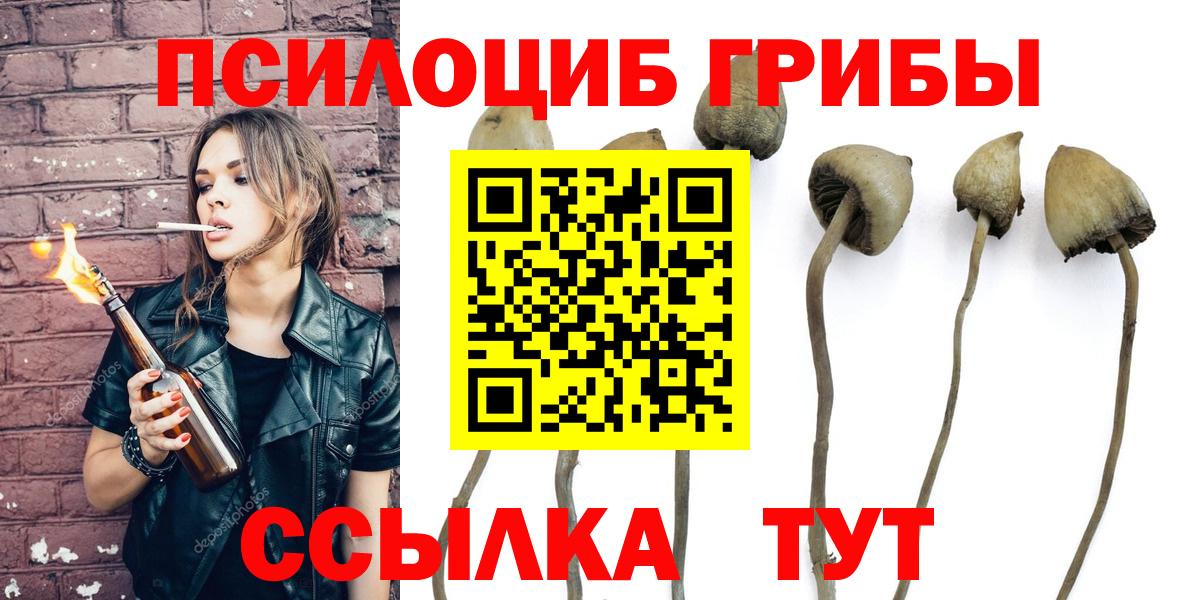 Галлюциногенные грибы Psilocybine cubensis Мичуринск