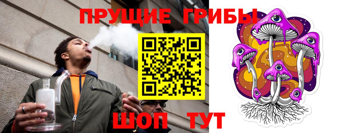 Мичуринск  Псилоцибиновые грибы мицелий  Галлюциногенные грибы прущие грибы  Вход с VPN 